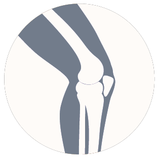 Icon: Knee