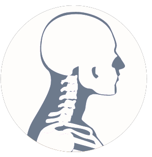 Icon: Neck