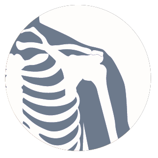Icon: Shoulder