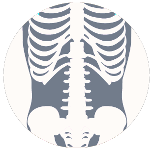 Icon: Spine