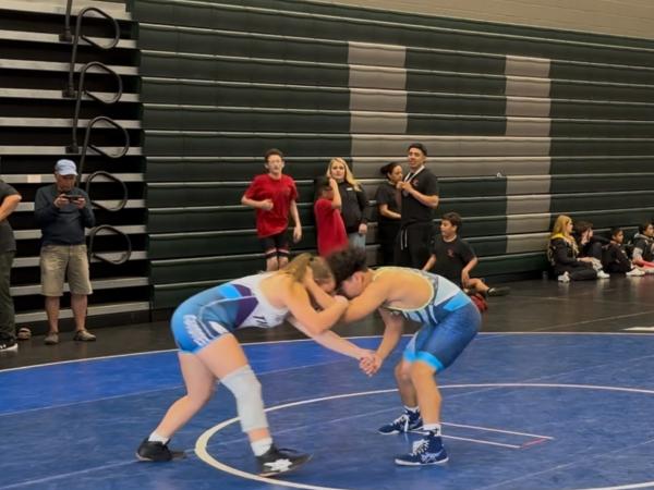Wrestling Photo