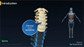 Minimally Invasive TLIF