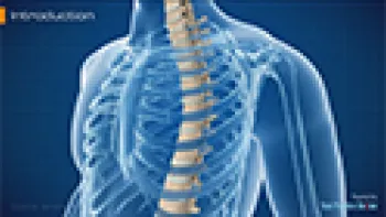 Spine Anatomy