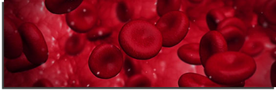 blood platelets