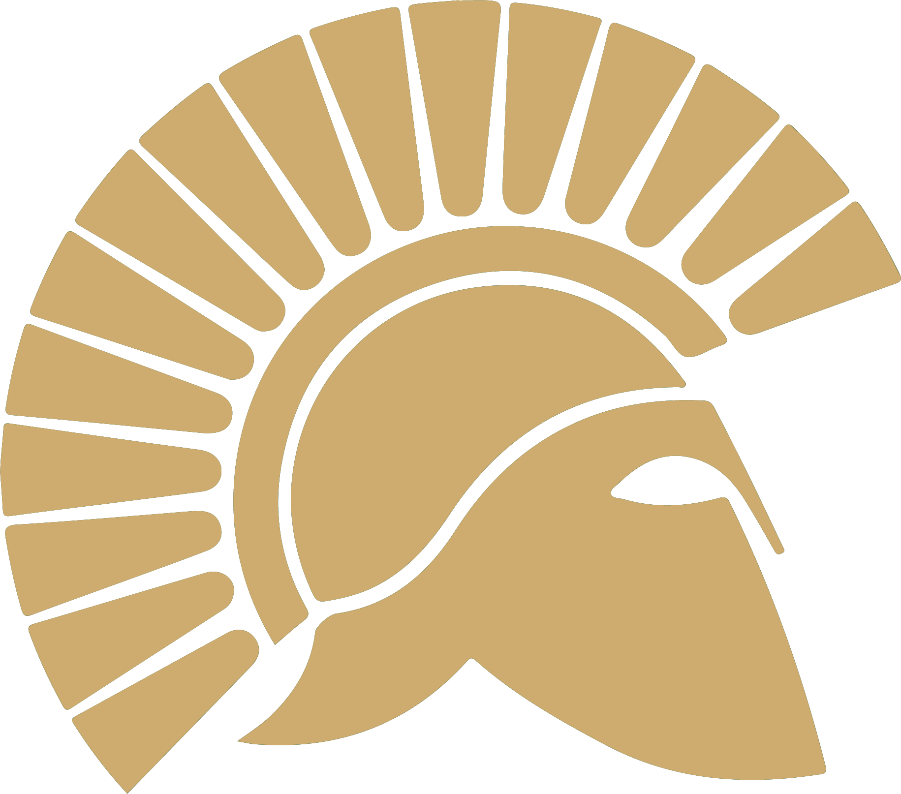 DLS Spartan Helmet