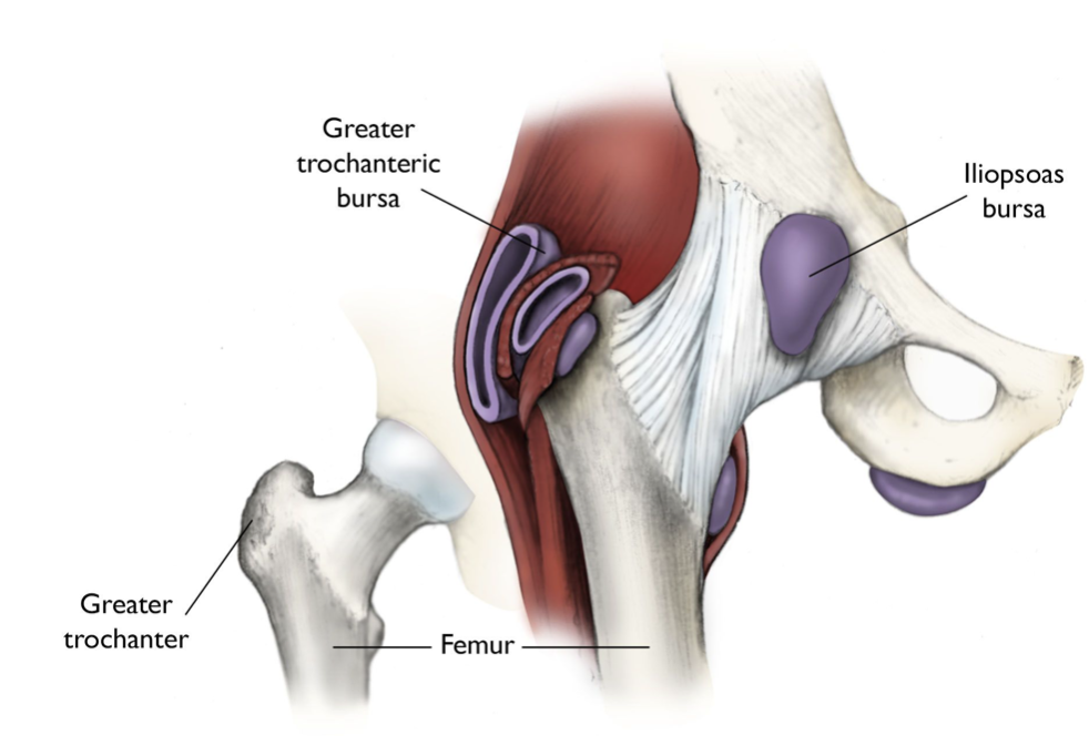 Nonsurgical Treatment Options for Scoliosis - OrthoInfo - AAOS