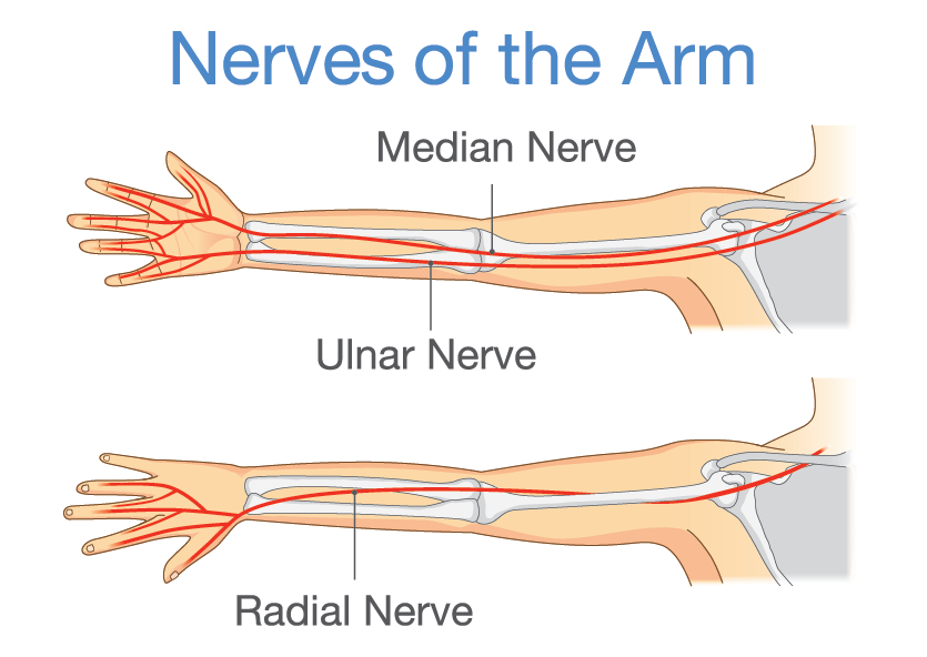 Nerve Damage In The Hand - Golden State Orthopedics & Spine