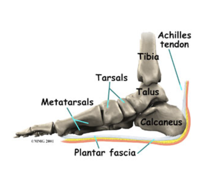 Plantar fasciitis treatment at GSOS